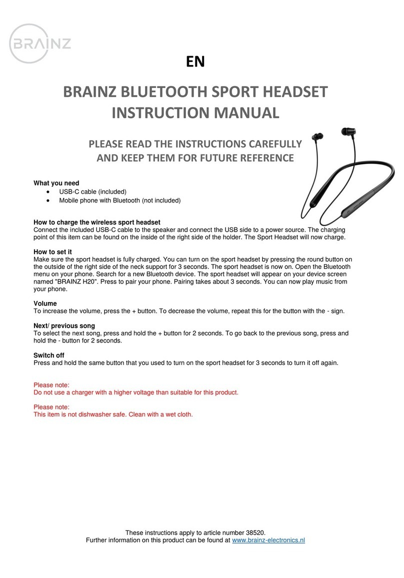 Brainz 38520 instruction manual