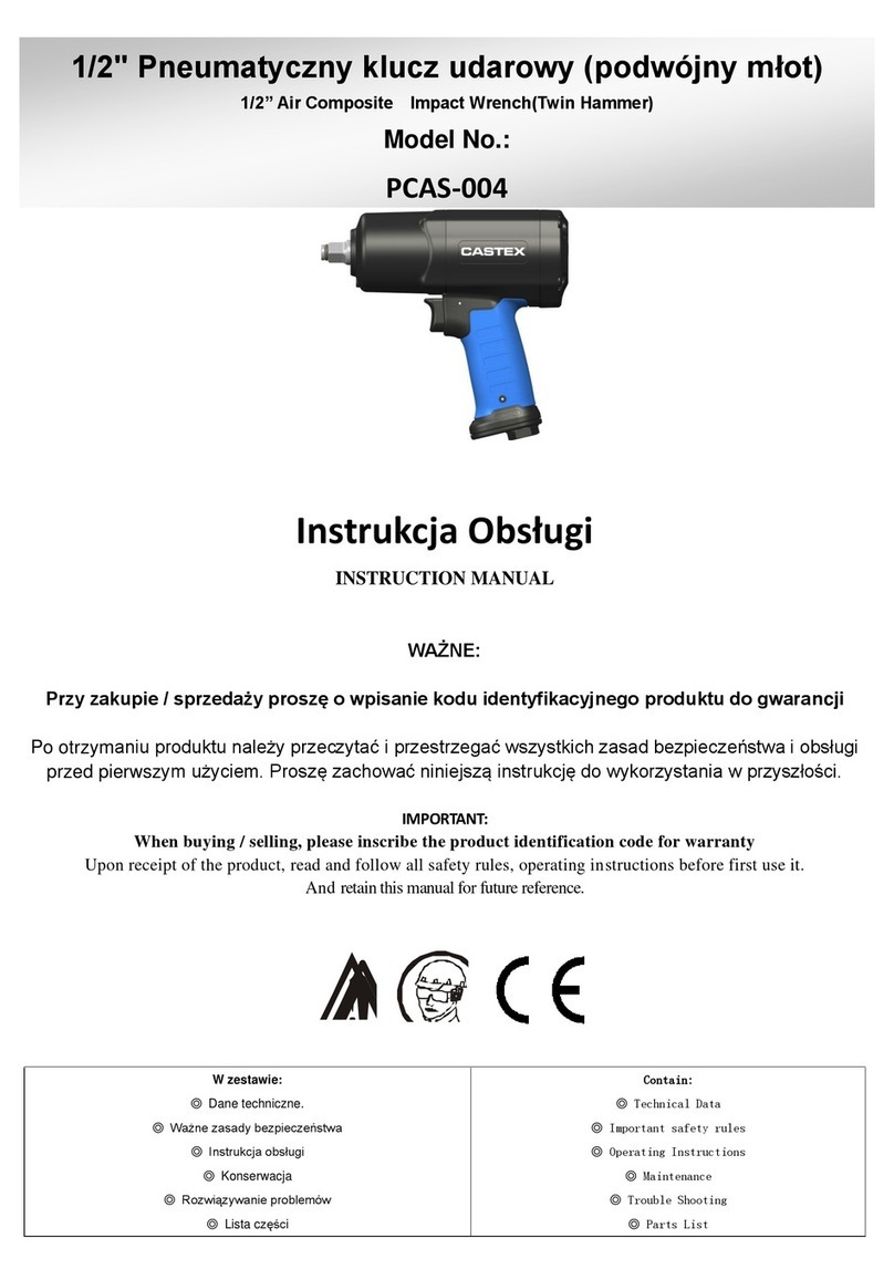 Castex PCAS-004 User manual