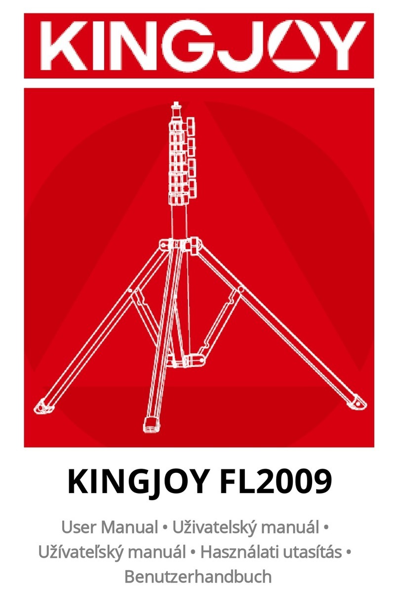 KINGJOY FL2009 User manual