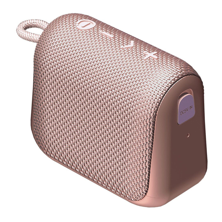 Raycon The Everyday Speaker user manual