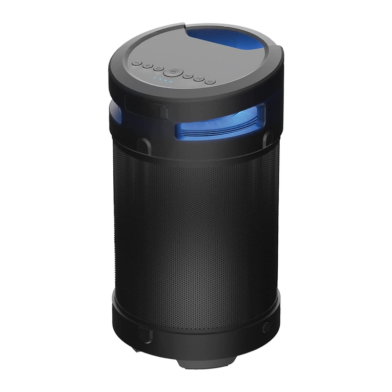 Raycon The Power Speaker user manual