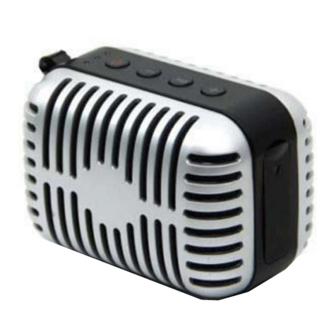 Weiking BT17S user guide