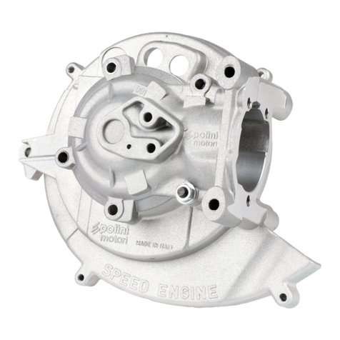 Polini PIAGGIO CIAO-BRAVO-BOXER-SI-CBA-ECO-GRILLO Assembling instructions