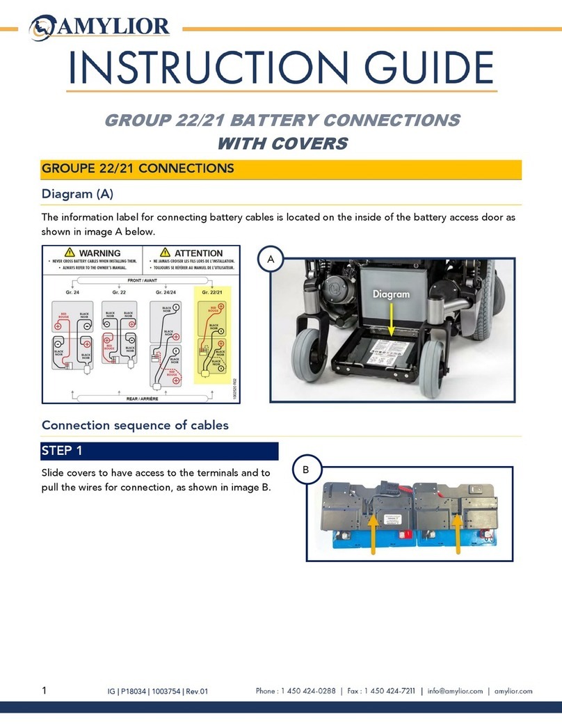 Amylior GROUP 22 Manual