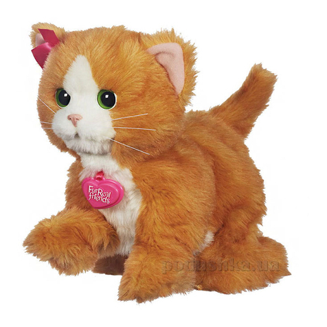 Hasbro Fur Real Friends Daisy Plays-with-me kitty User manual Hasbro Fur Real Friends Daisy Plays-with-me kitty User manual