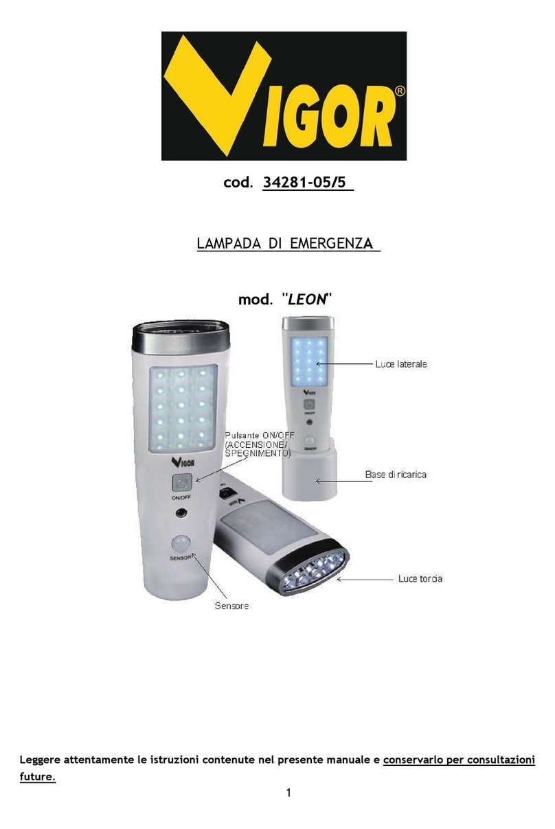 Vigor LEON quick start guide