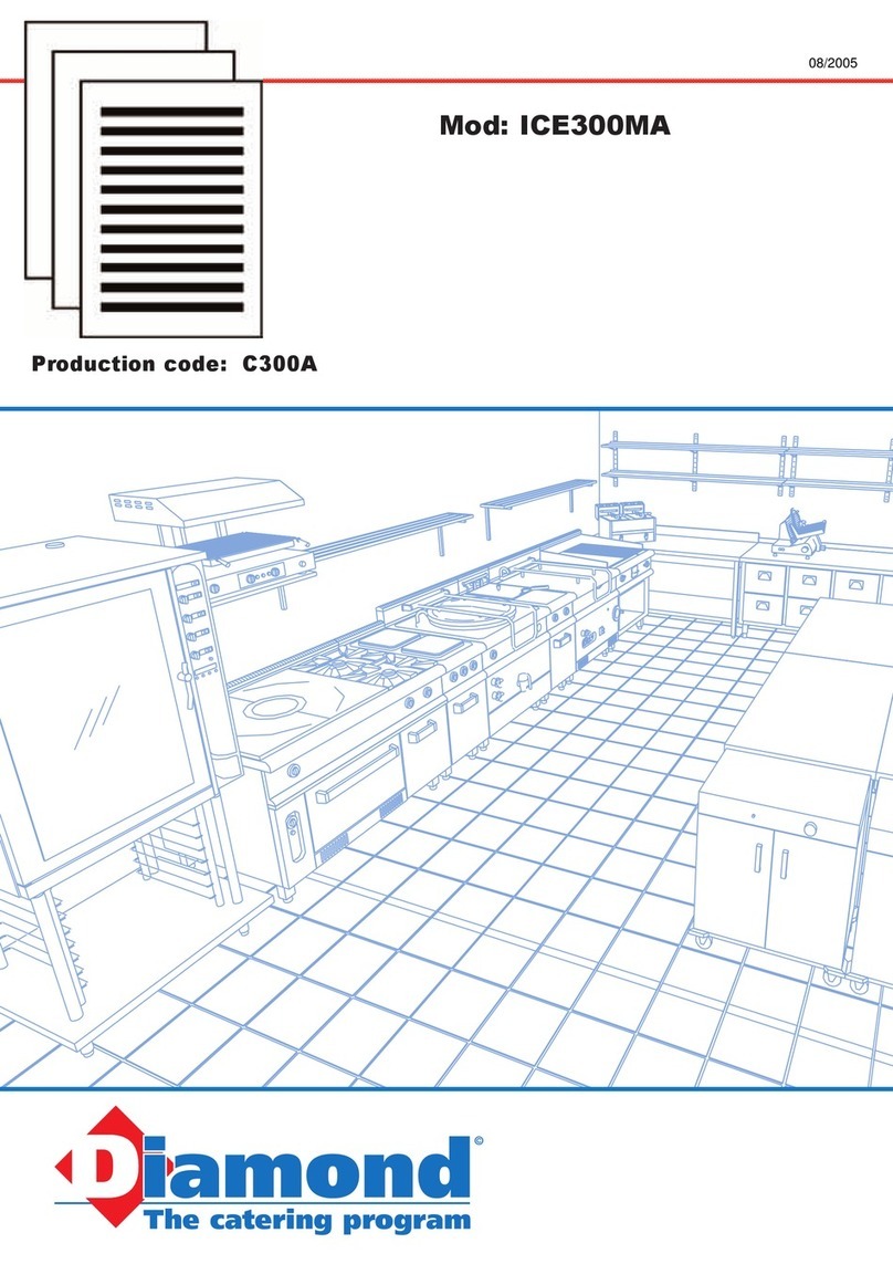 Diamond ICE300MA Instructions for installation, use and maintenance manual Diamond ICE300MA Instructions for installation, use and maintenance manual