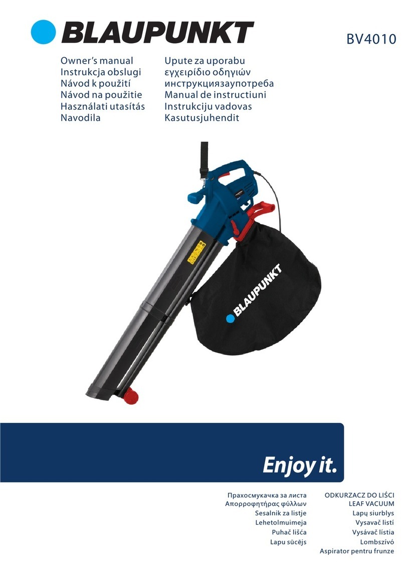 Blaupunkt BV4010 owner's manual