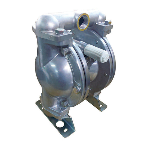 Global Series Pump G25AN Maintenance manual