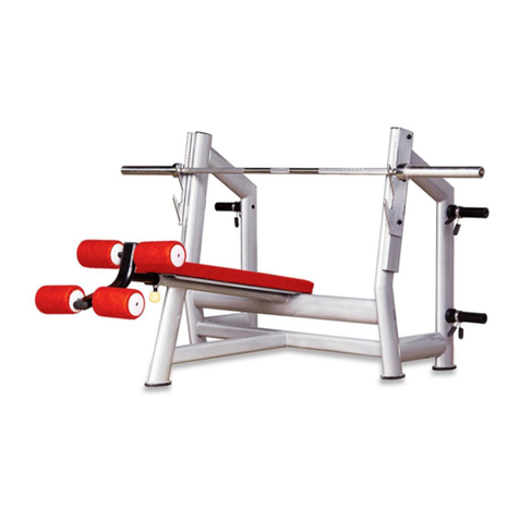BRONZE GYM H-24 User manual