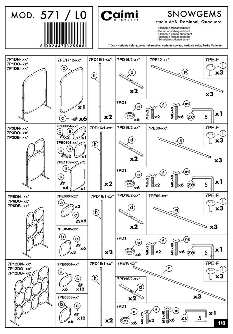 Caimi Brevetti SNOWGEMS 571/L0 User manual