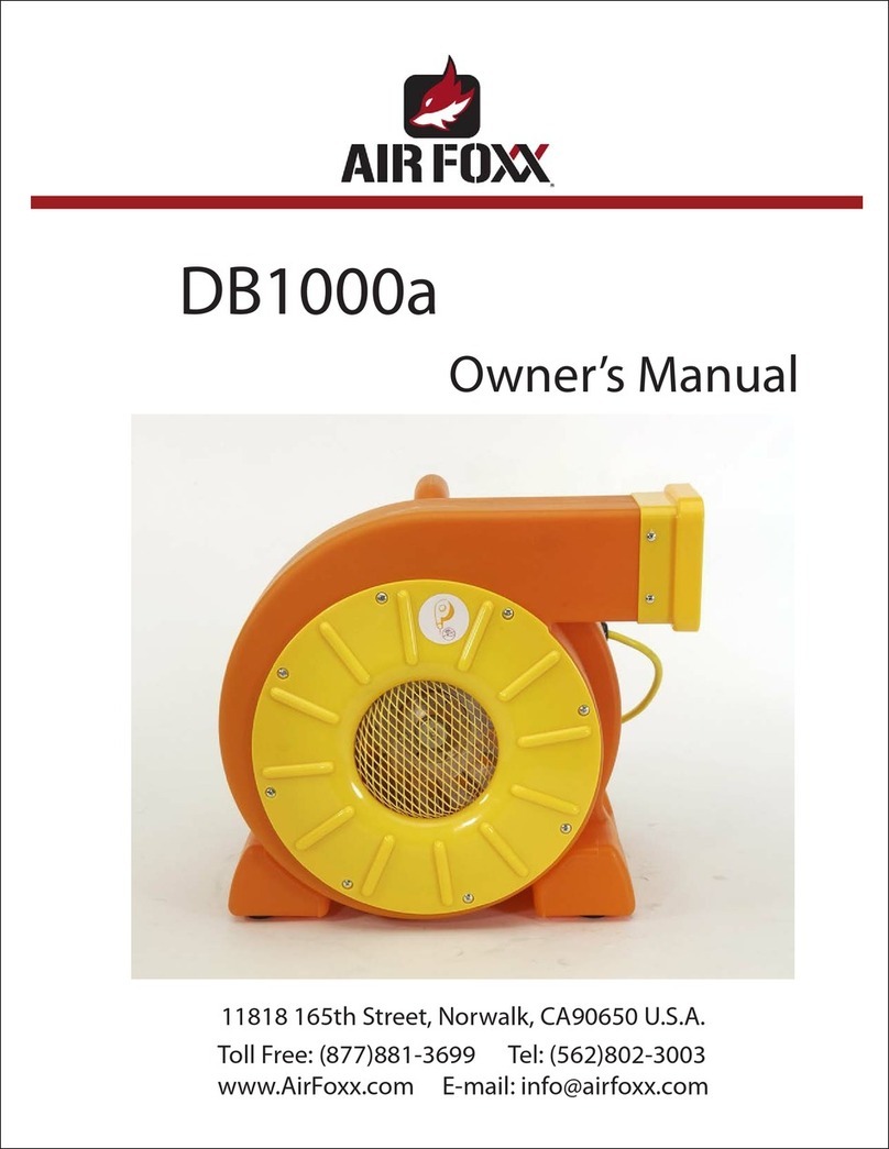 AIR FOXX DB1000a User manual