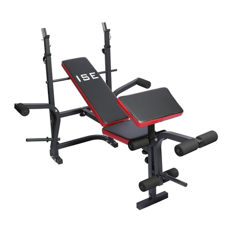 ISE SY-5430B user manual