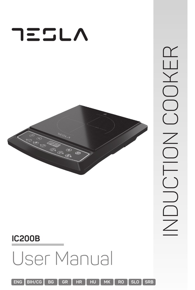 Tesla IC200B user manual