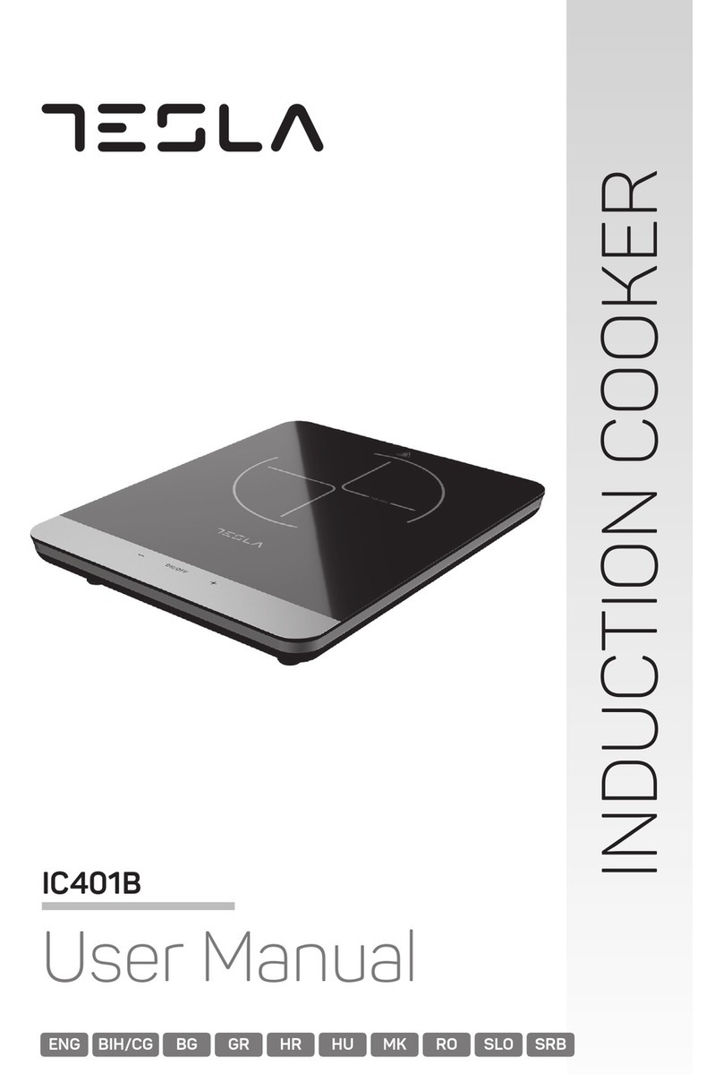 Tesla IC401B user manual