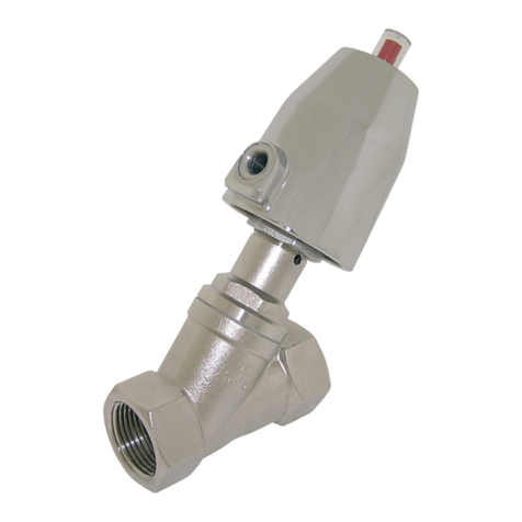 END ARMATUREN DG2D1 Original operating manual
