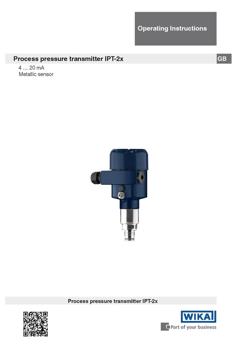 WIKA IPT-2 Series User manual