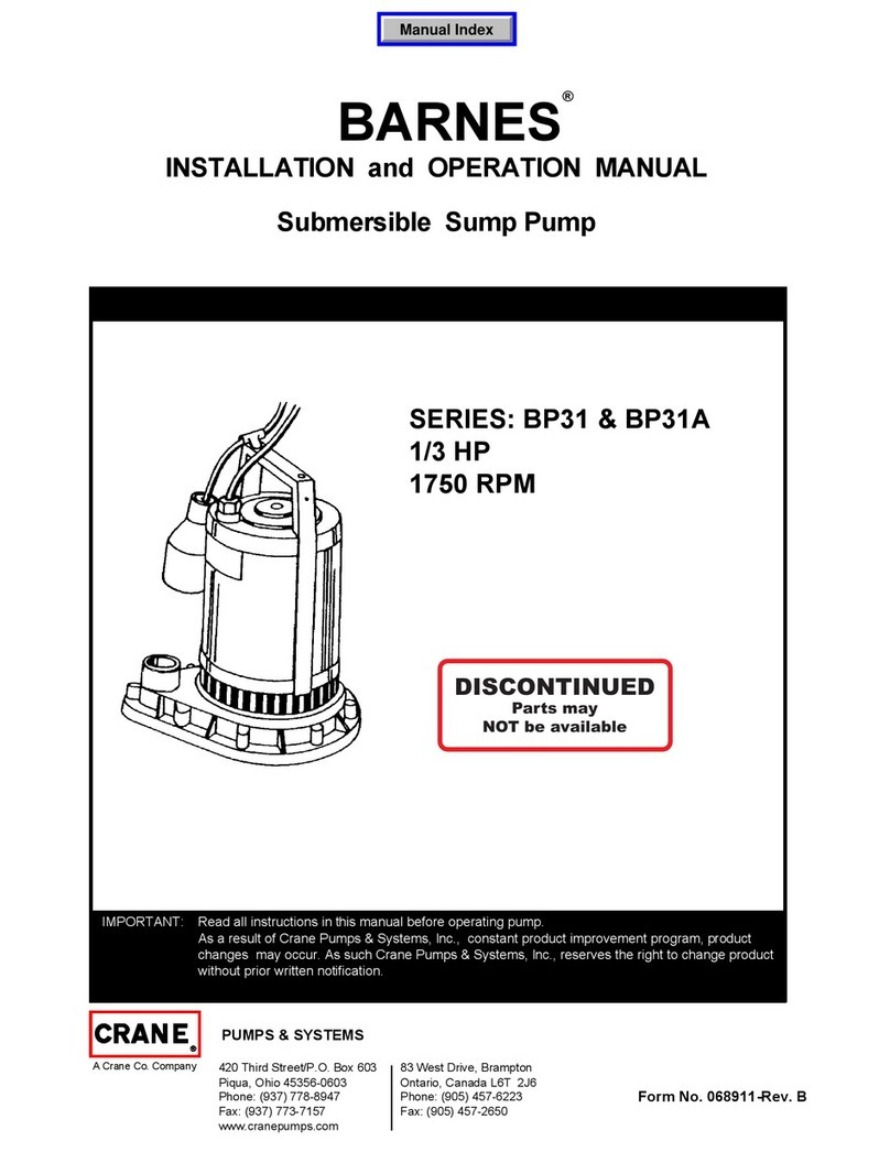 Barnes BP31 Series User manual
