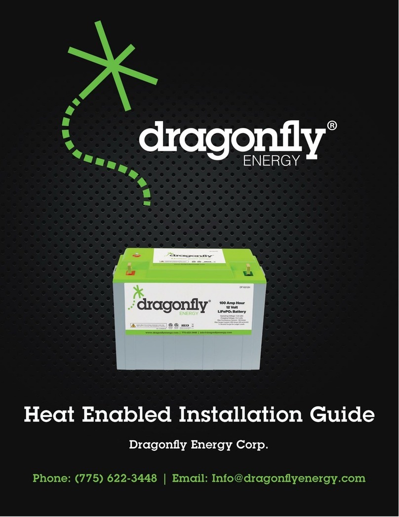 Dragonfly Energy DFGC2H Instruction guide