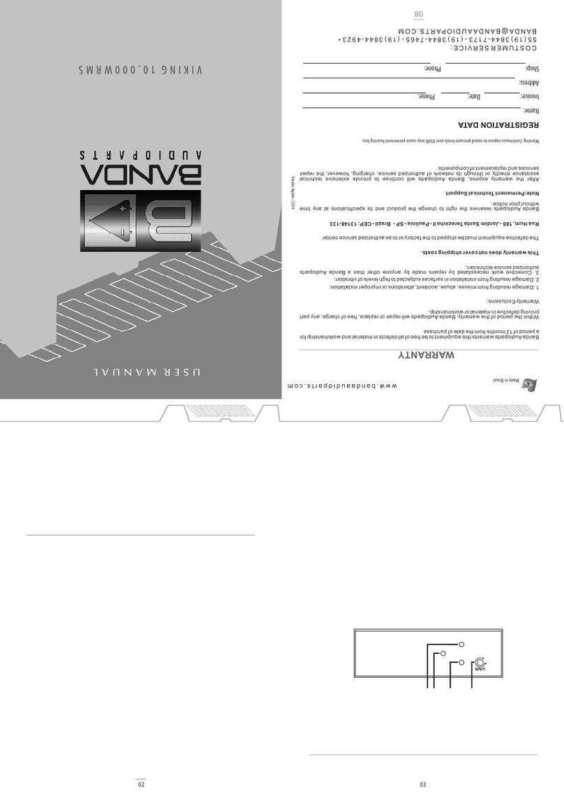 Banda Audioparts Viking 10000 user manual