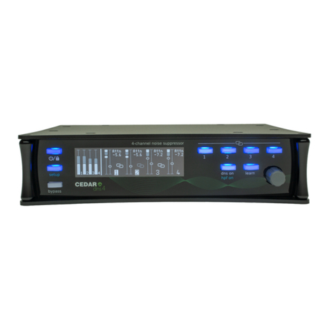 Cedar DNS 4 owner's manual