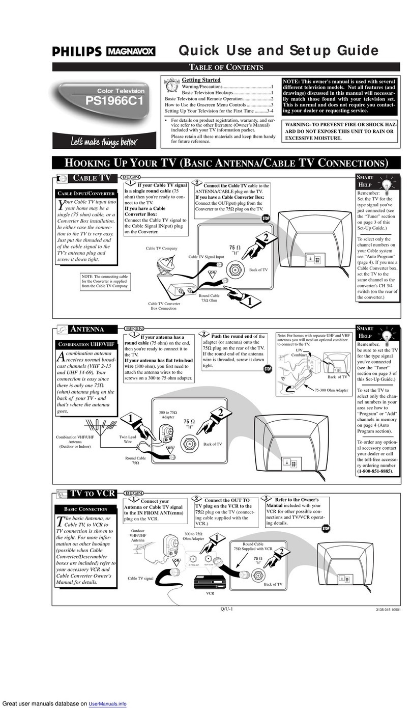 Philips MAGNAVOX PS1966C1 User manual