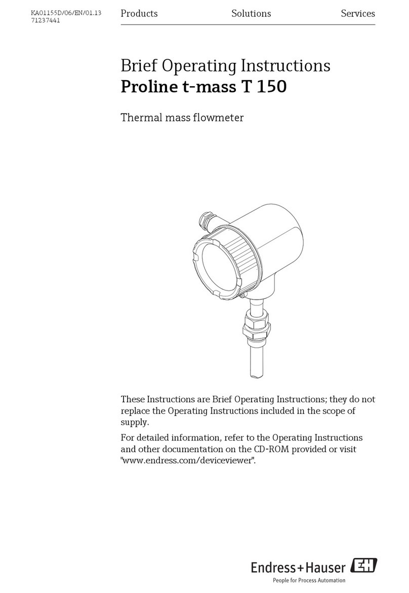Endress+Hauser Proline t-mass T 150 Technical specifications
