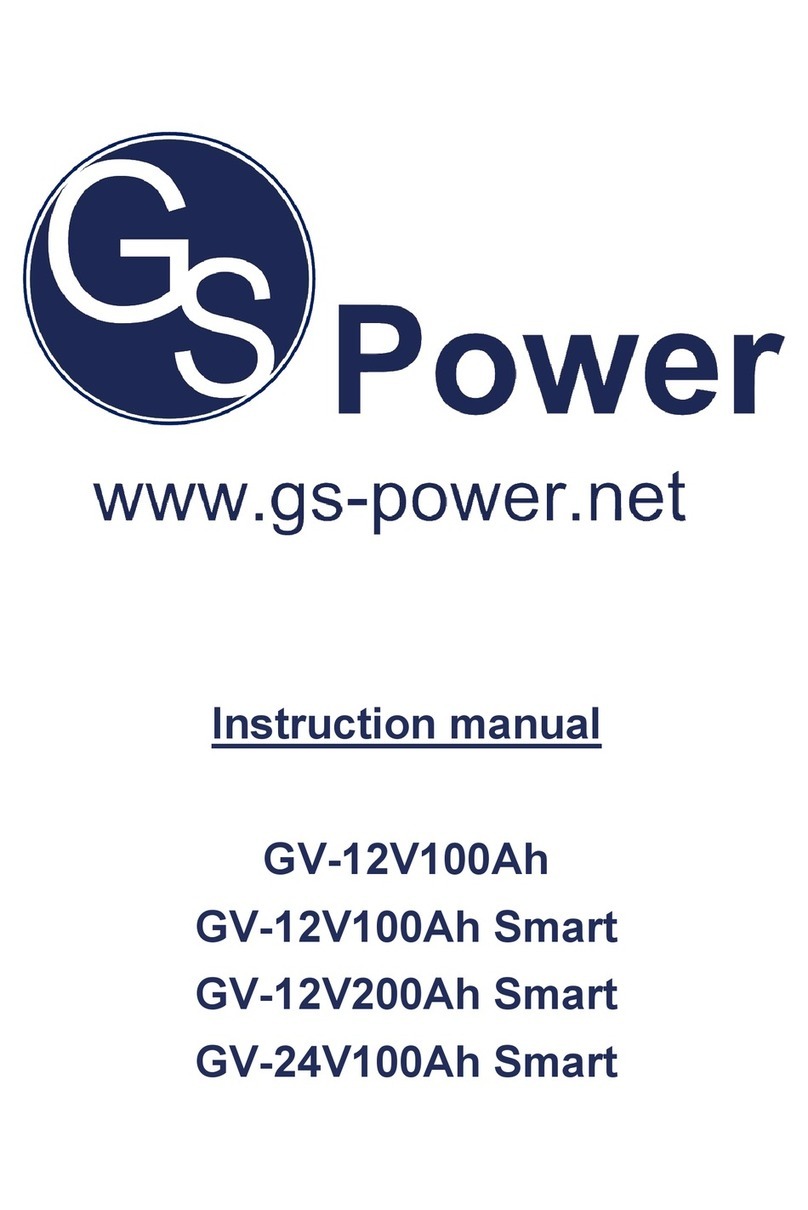 GS-POWER GV-12V100Ah instruction manual