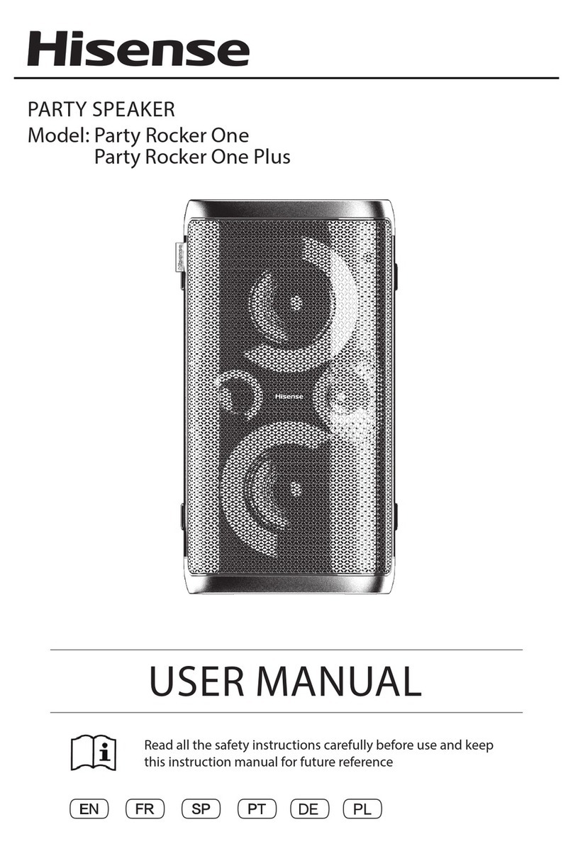 Hisense Party Rocker One user manual
