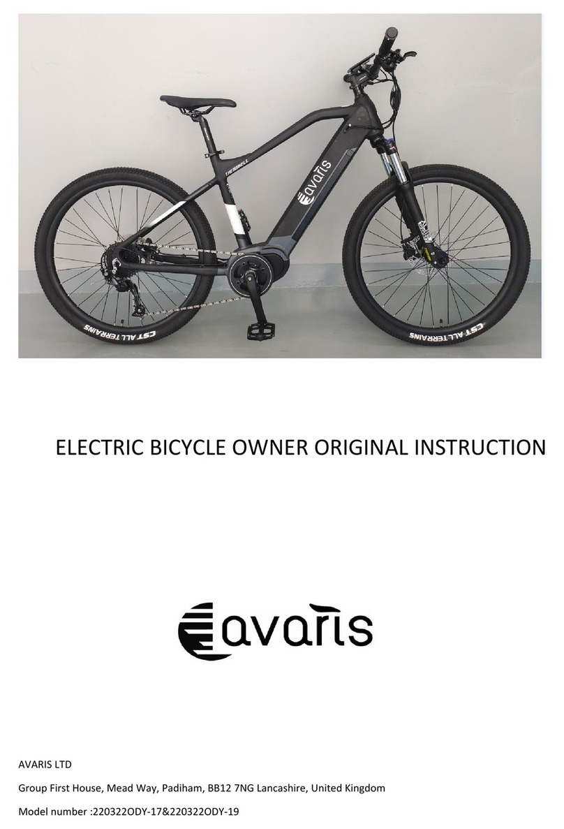 Avaris Odysey owner's manual