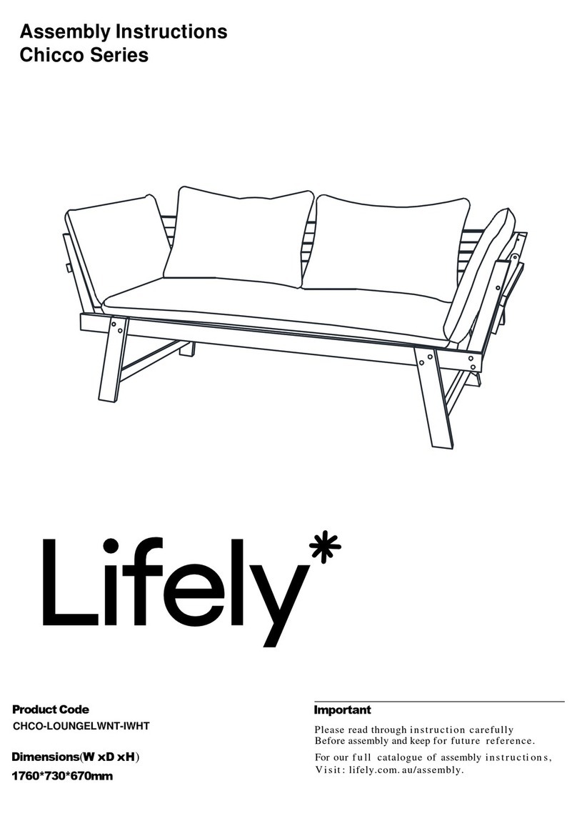 Lifely Chicco Series User manual
