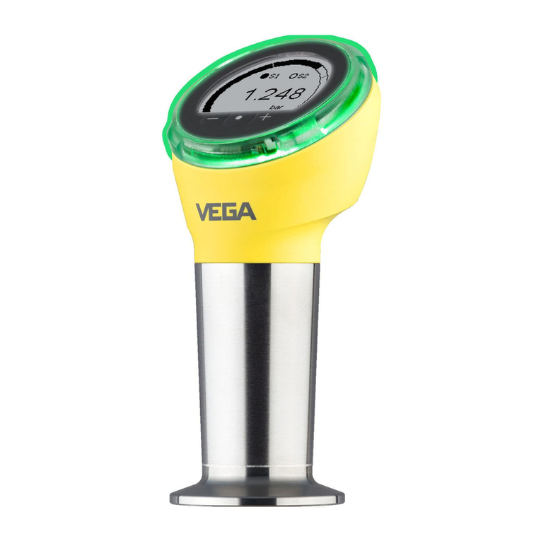 Vega VEGABAR 38 User manual