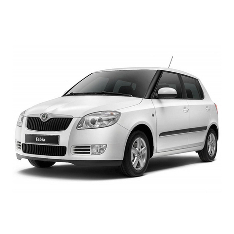 Skoda Fabia II 2007 Instruction manual