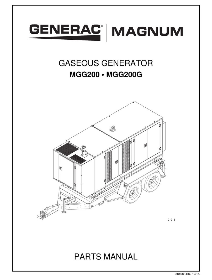 Generac Power Systems MAGNUM MGG200 User manual