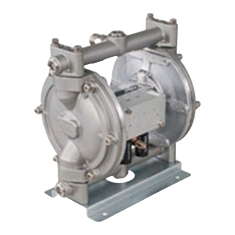 Anest Iwata DDP-160D User manual