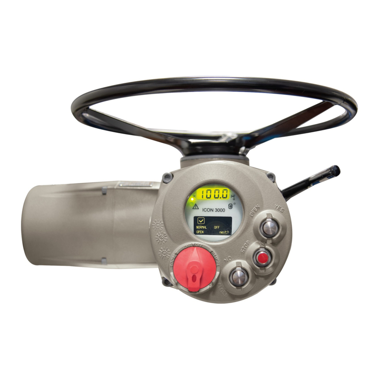 BIFFI ICON3000 Series Installation, operation and maintenance manual BIFFI ICON3000 Series Installation, operation and maintenance manual