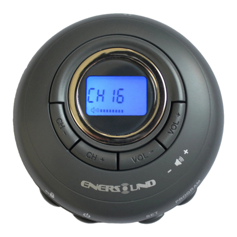 Enersound R-100 User manual
