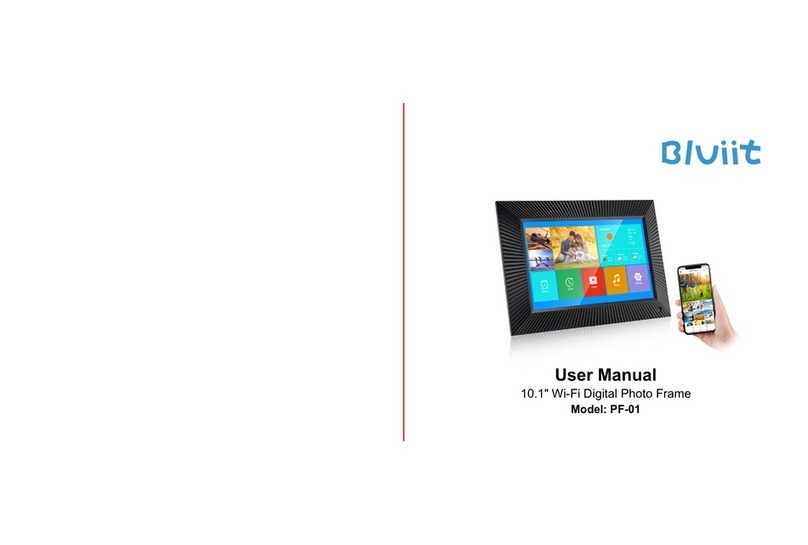 Bluiit PF-01 User manual