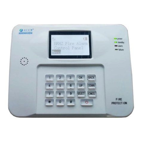 BEIRENHUIZHI BR-ZN-W868 user manual