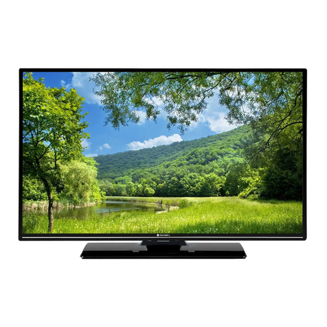 Gogen TVF40N525T User manual