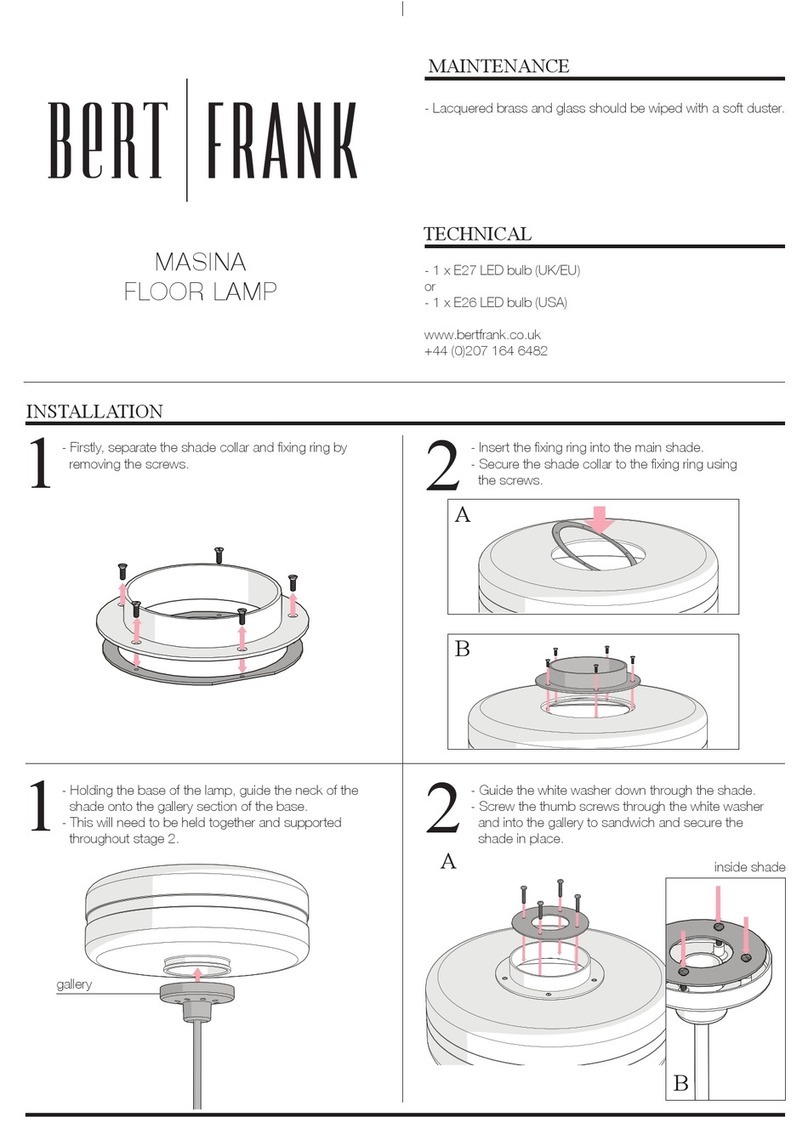 Bert Frank MASINA manual