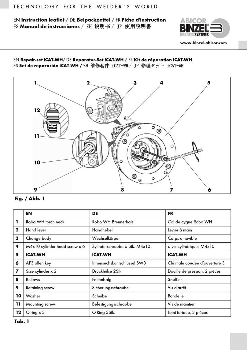 Abicor Binzel iCAT-WH Manual