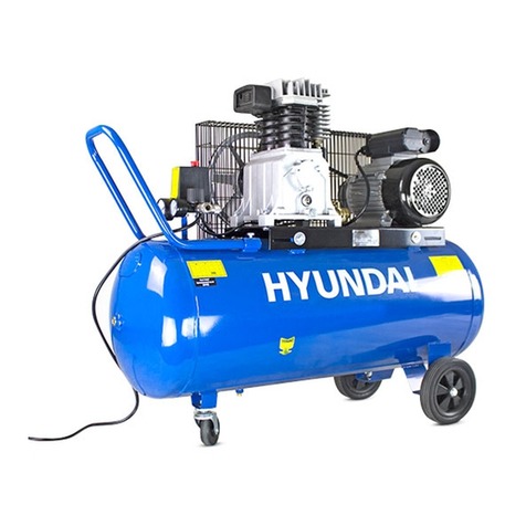 Hyundai HY3100P User manual