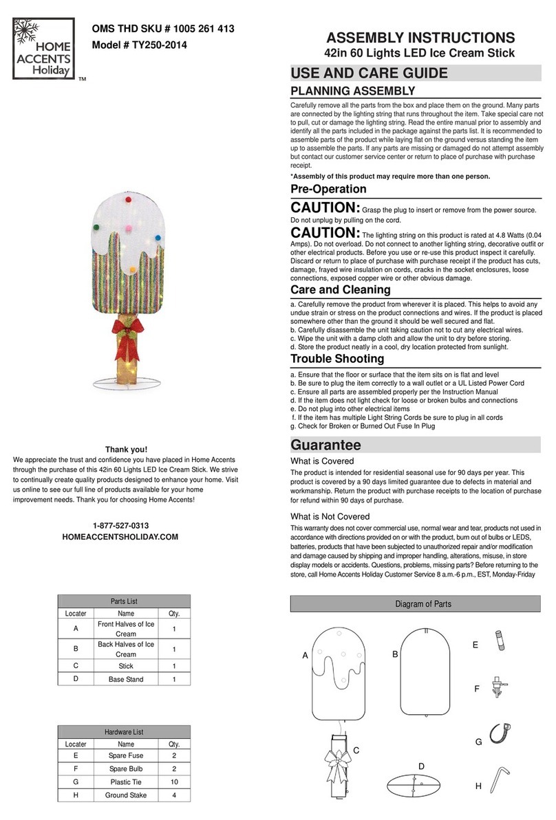 Home Accents Holiday TY250-2014 Assembly instructions