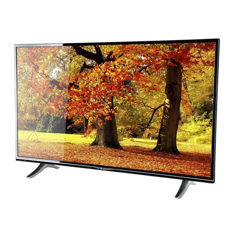 Gogen TVU49S298STWEB User manual