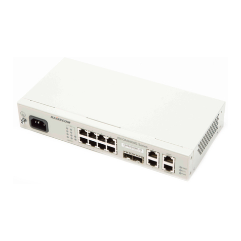 Raisecom ISCOM2608G-2GE Product description