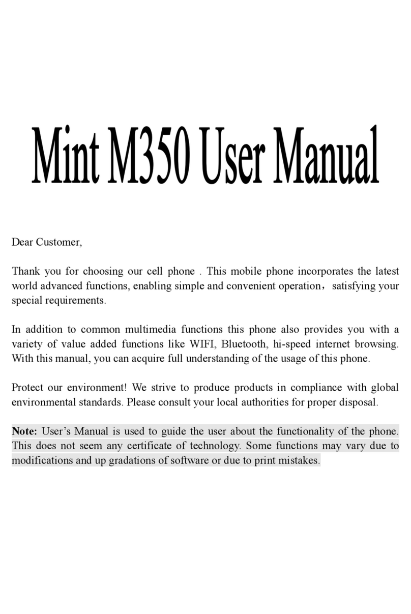 Avvio Mint M350 User manual