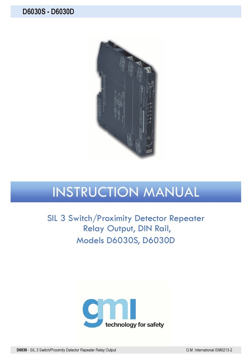 GMI D6030S instruction manual