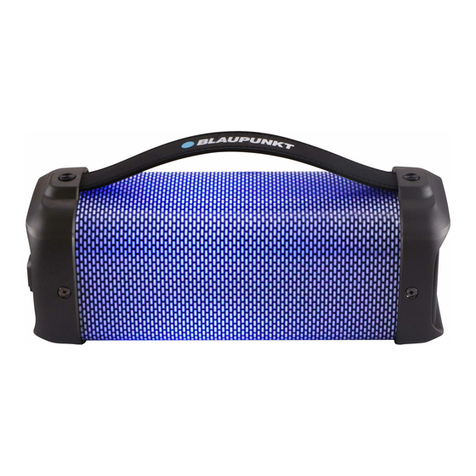 Blaupunkt BT30LED User manual