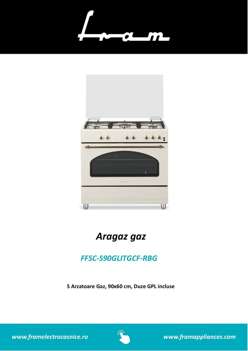 FRAM FFSC-S90GLITGCF-RBG instruction manual